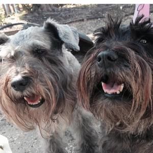 Meet your Posher, Karen